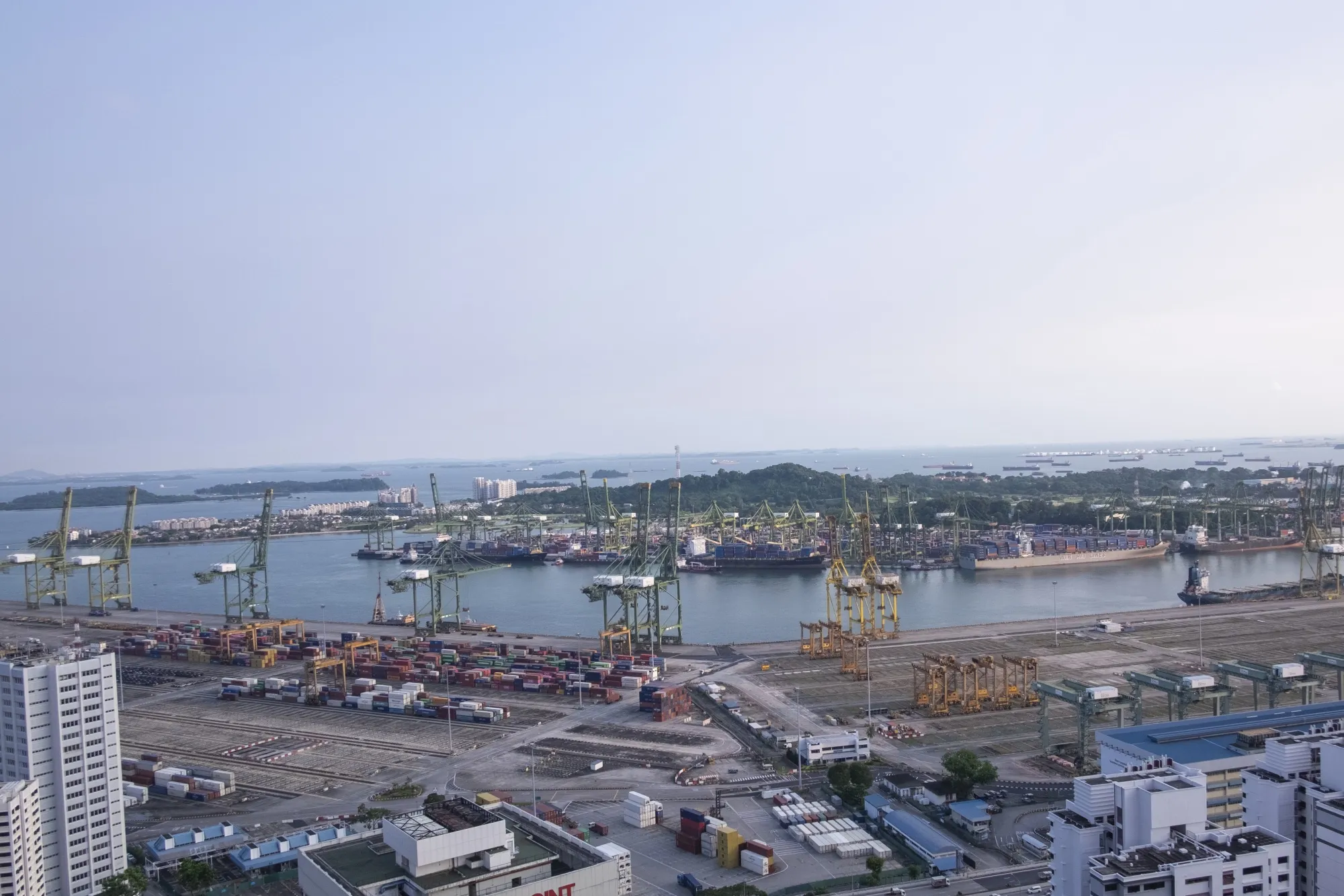 From port congestion to financial imposters, Singapore is facing problems of excess.