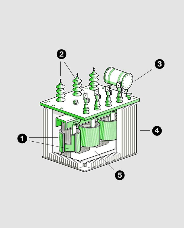 Illustration by Brown Bird Design