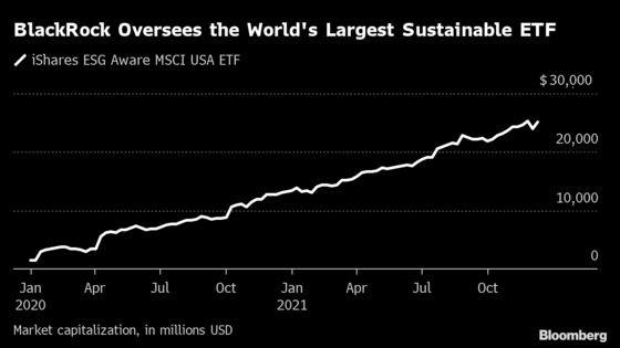 How BlackRock Made ESG the Hottest Ticket on Wall Street