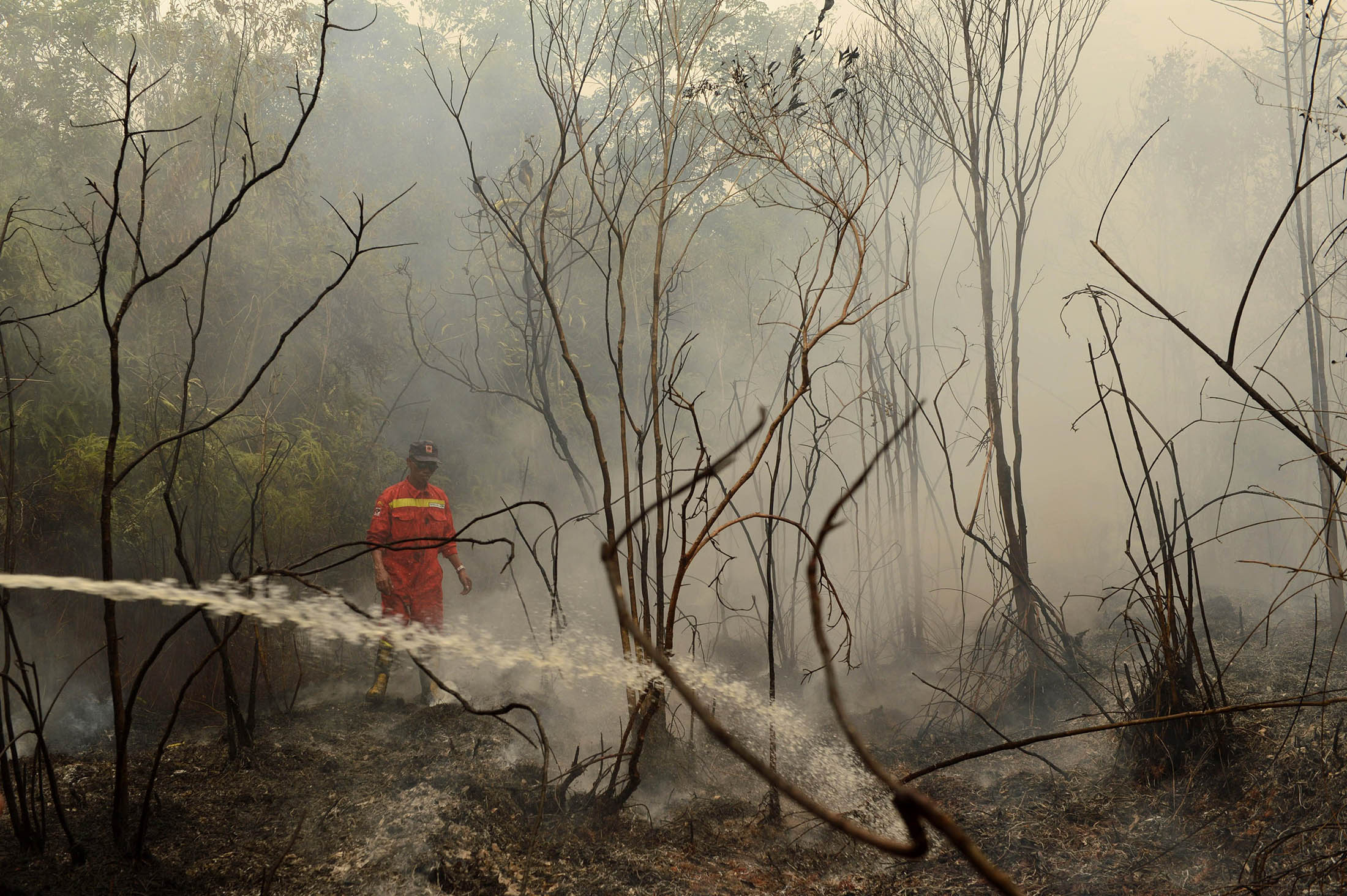 Singapore Shuts Schools as Air Quality Hits Hazardous Level - Bloomberg
