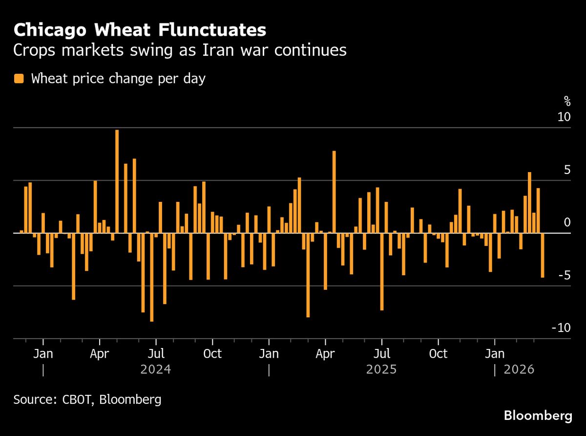 Crops Swing to Losses as Trump Signals Possible End to Iran War.