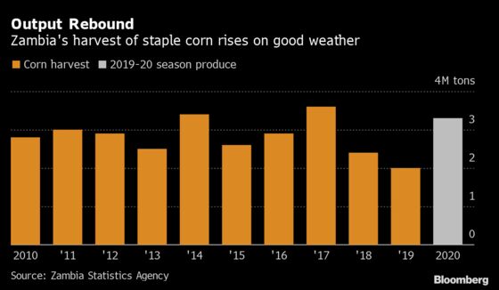 Corn Harvest Rises 70% in Zambia, Recovering From Epic Drought