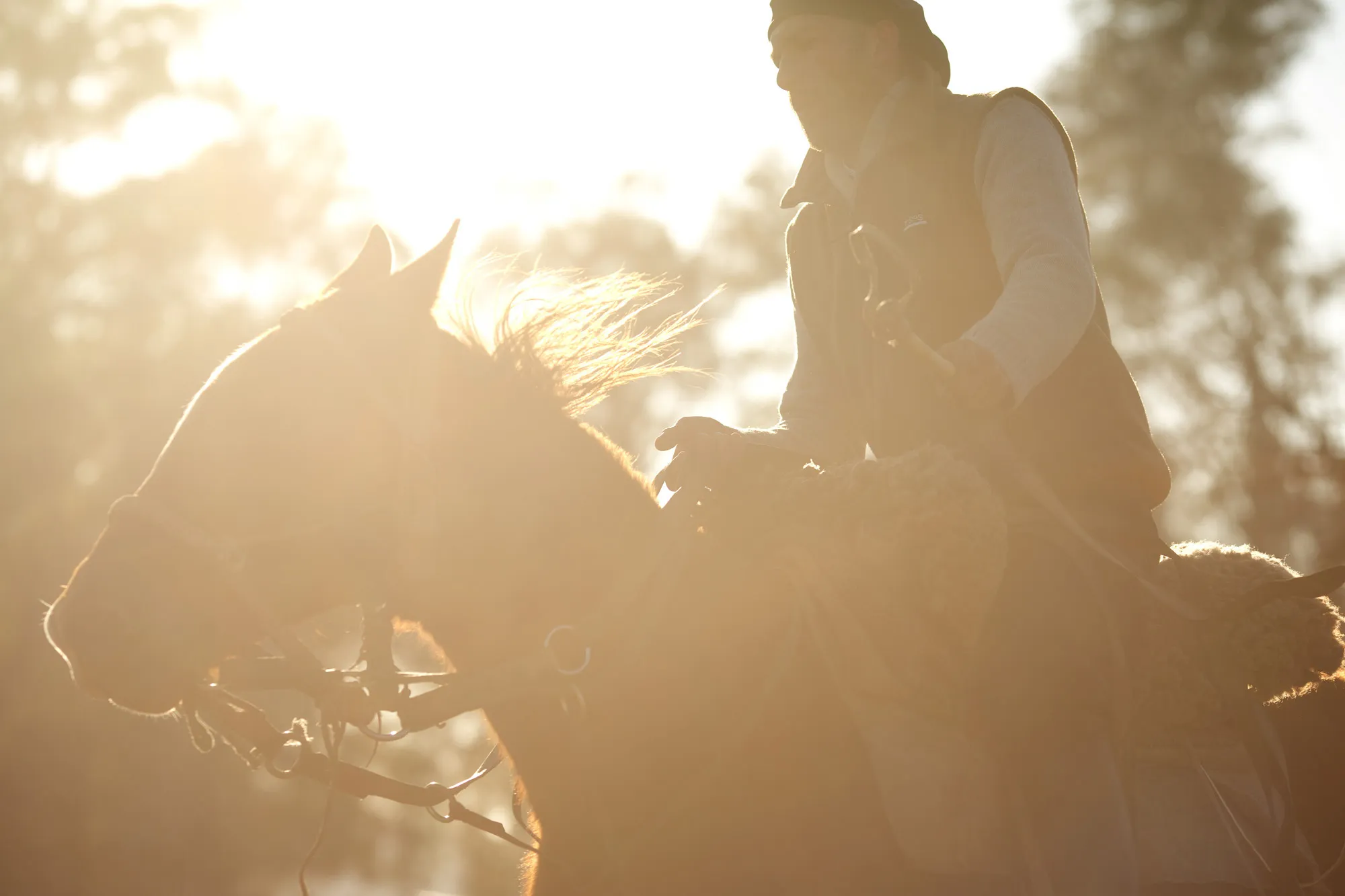 Gaucho and domador, or horse trainer, Luis Daniel Cerrudo trains a young horse on the Estancia La Argentina farm outside San Antonio de Areco, Buenos Aires province, on July 22, 2015. The doma, or the process of training cattle horses, lies somewhere between breaking and training. When a horse is trained, it does the same thing every day and learns from repetition. With the doma, horses learn a variety of new things each day of training and are given days off to let the lessons sink in, a process that can last a year. Declines in cattle herds due to increasing soybean production that takes up pastureland, government policies that keep beef prices low, and the breakup of large farms have all led to a decreasing number of gauchos in the fields of the Pampas. “Now the gauchos of today are fewer and fewer,” Cerrudo says. Photographs by Victor J. Blue/Bloomberg

