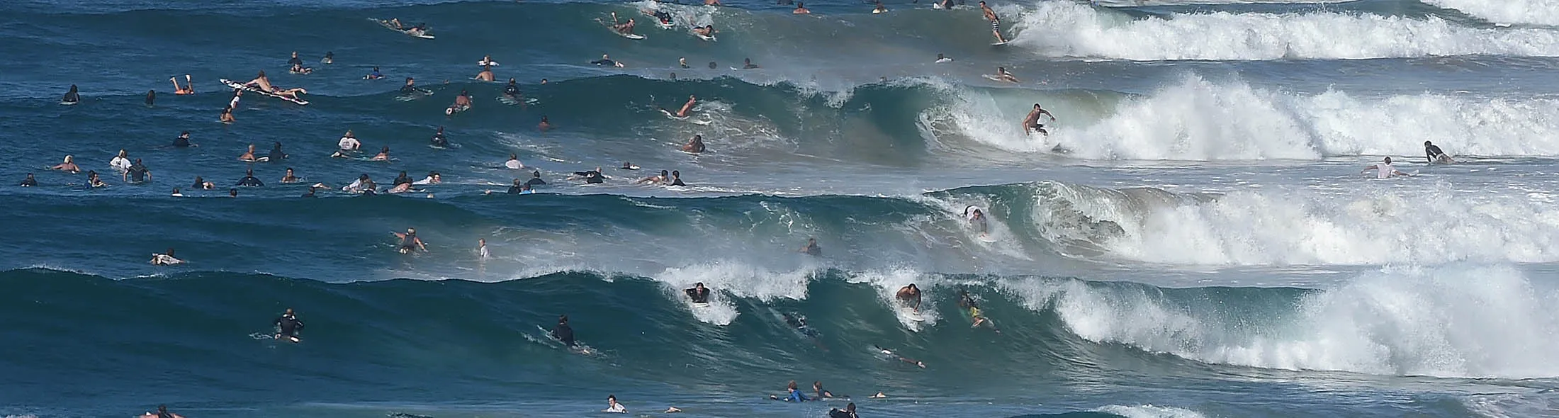 1489998224_surfing large lede