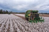 Cotton Retreats As China Covid Cases Threaten Demand