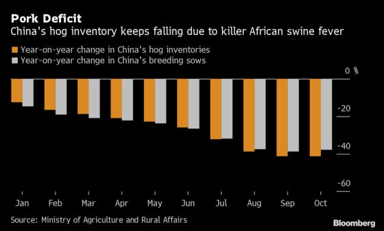 China’s Hog Herds Plunge More Than 40%, But Worst May Be Over