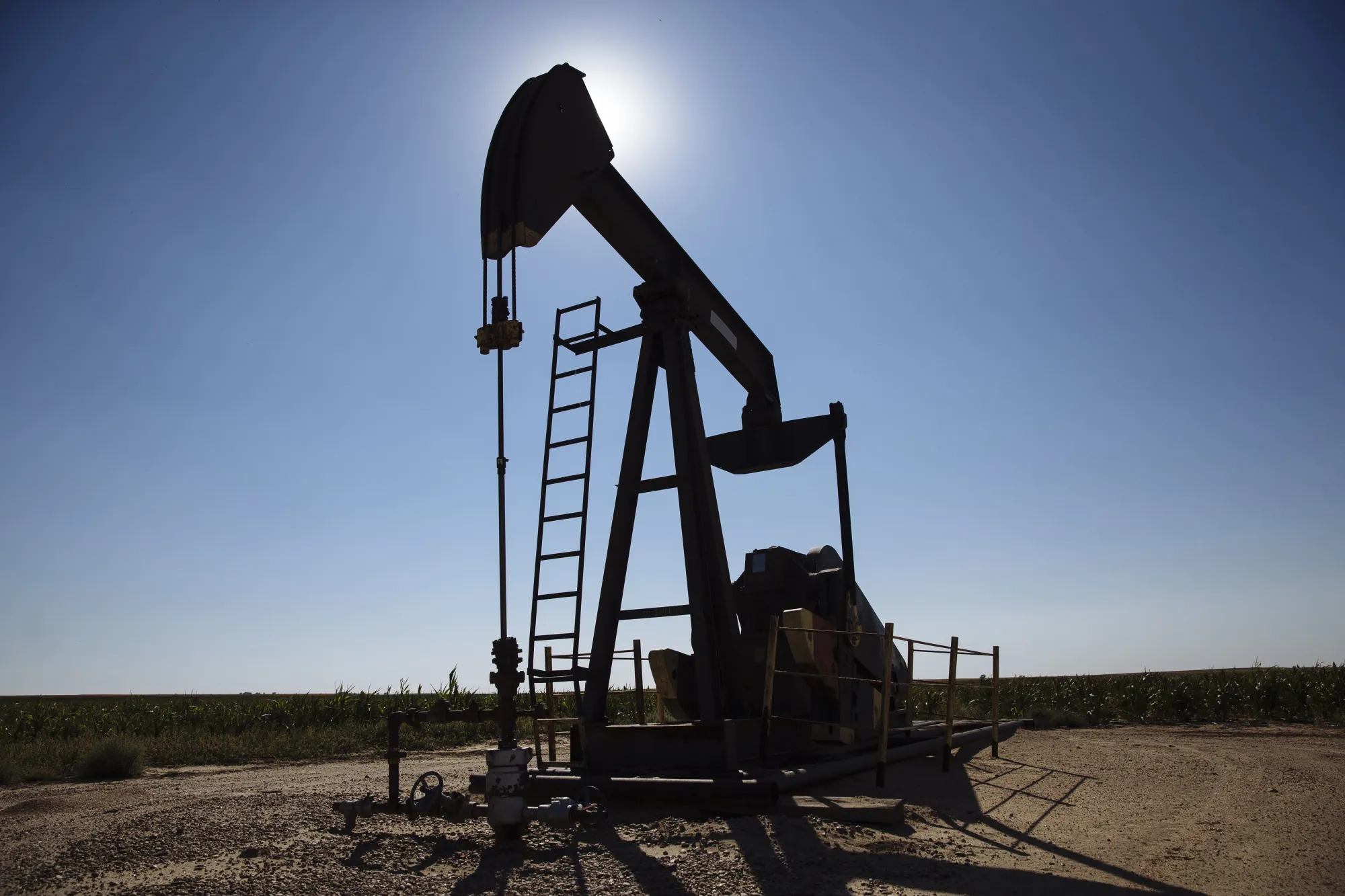 An oil pumping jack in an oil field.