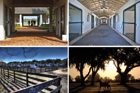 Clockwise from top left: A Farrier shoeing a horse in the training barn; the interior of the 22-stall mare/foaling barn; the 20 “Fibar” pens each with individual .30-acre paddocks; a mare and foal running the paddock.
