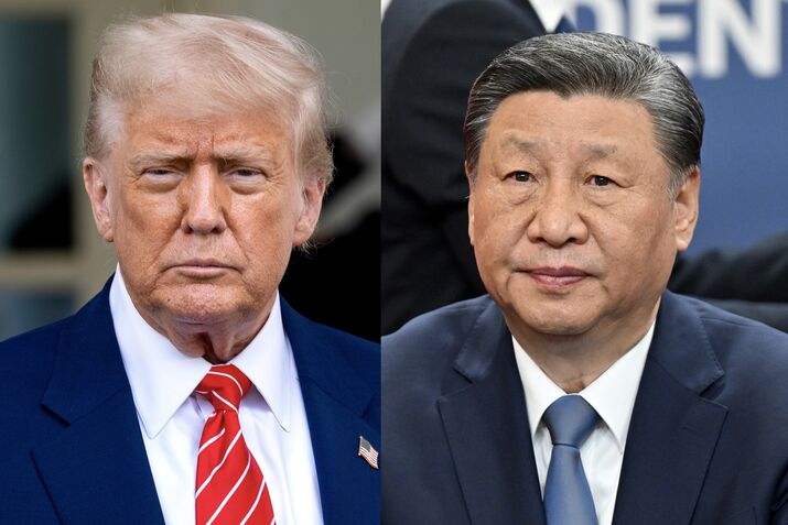 Donald Trump and Xi Jinping COMBO DIPTYCH