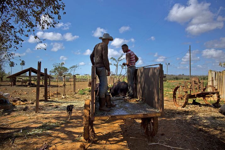 Planting Seeds Against the Cuban Embargo