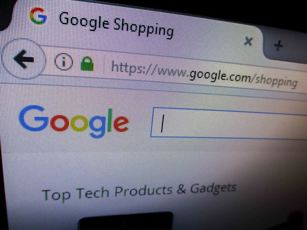 The Google Shopping service.