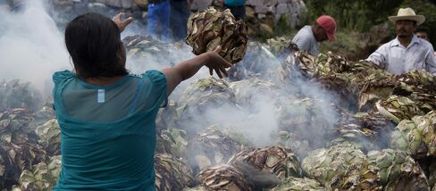 A worker throws an agave plant inside the fire pit to roast at the Mezcal Union production facility and distillery.