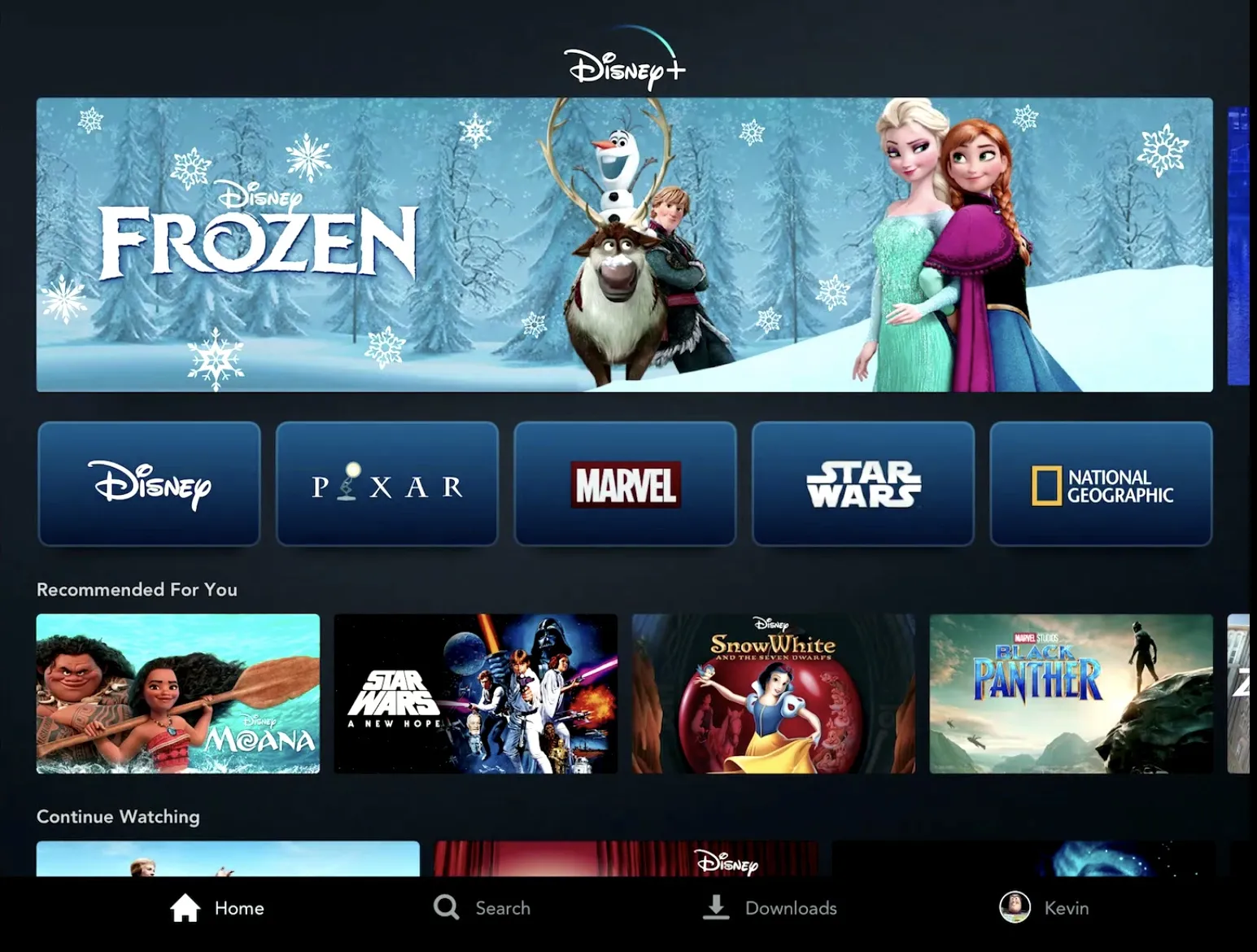 Introducing Disney+.
