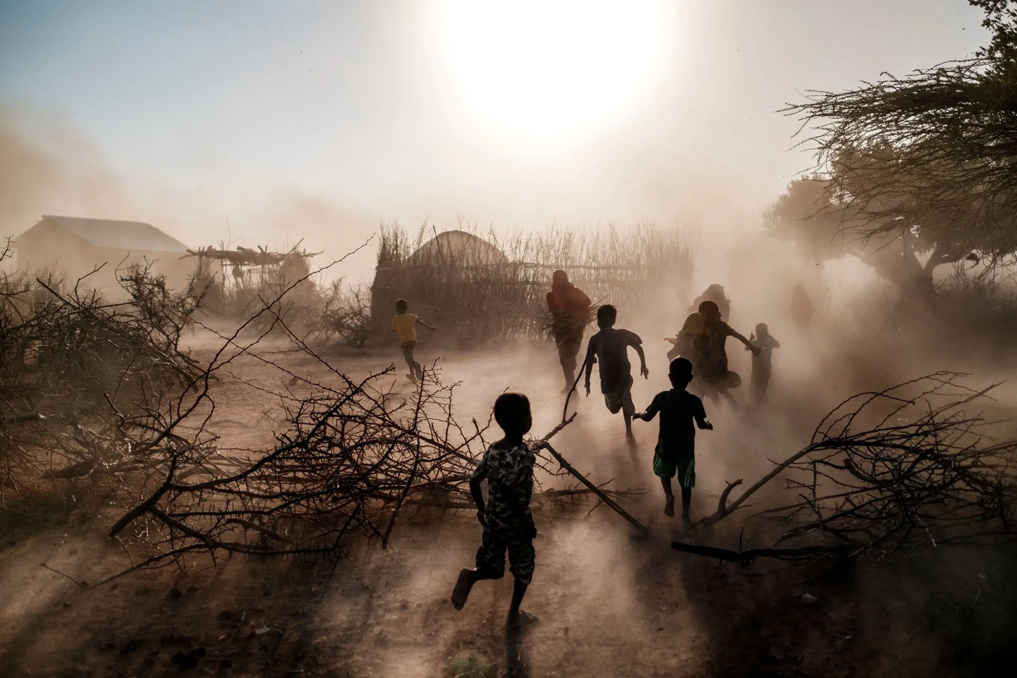 Rail, image size:2000x1334