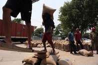 Wheat Harvest As India Experiences Heat Wave