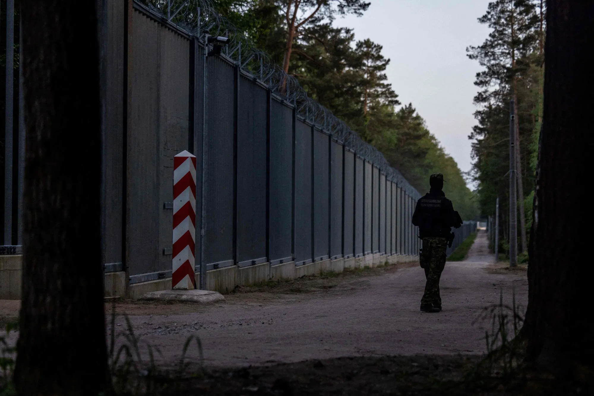 A border guard patrols along the Polish - Belarus border.