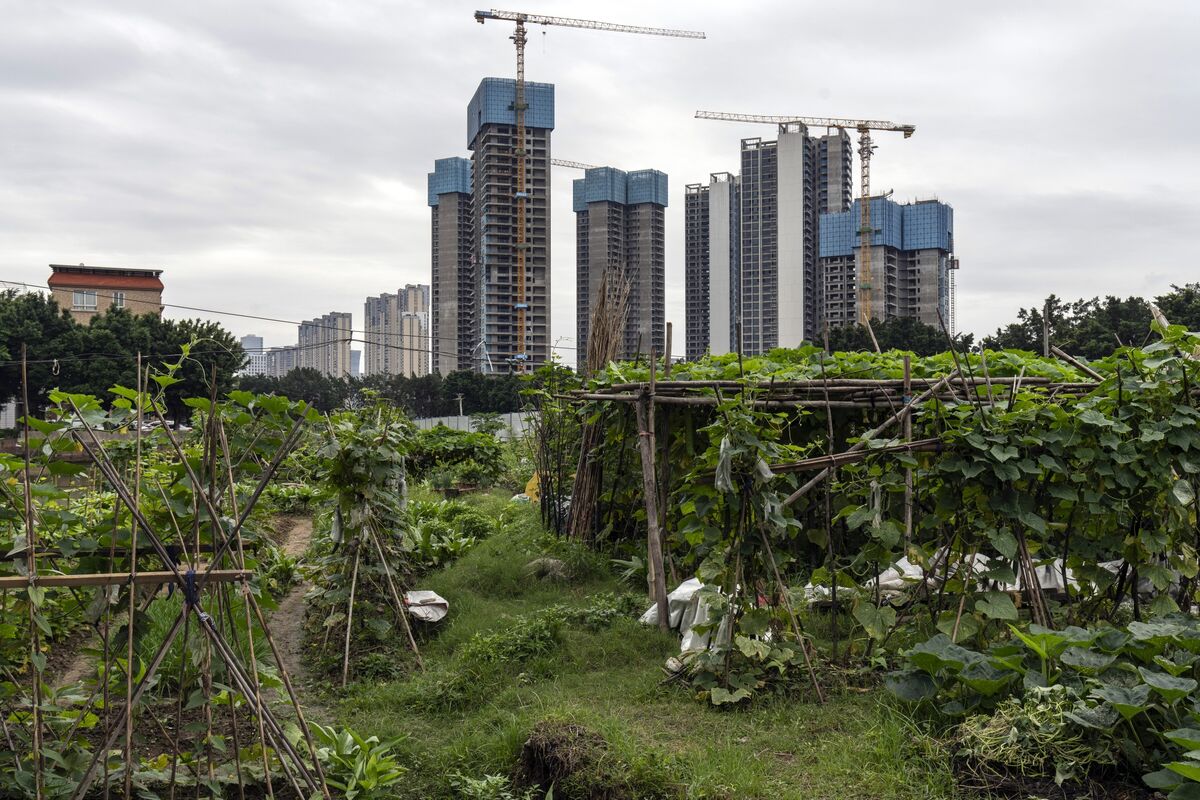 Country Garden Plans Up to $13 Billion of Convertible Bonds