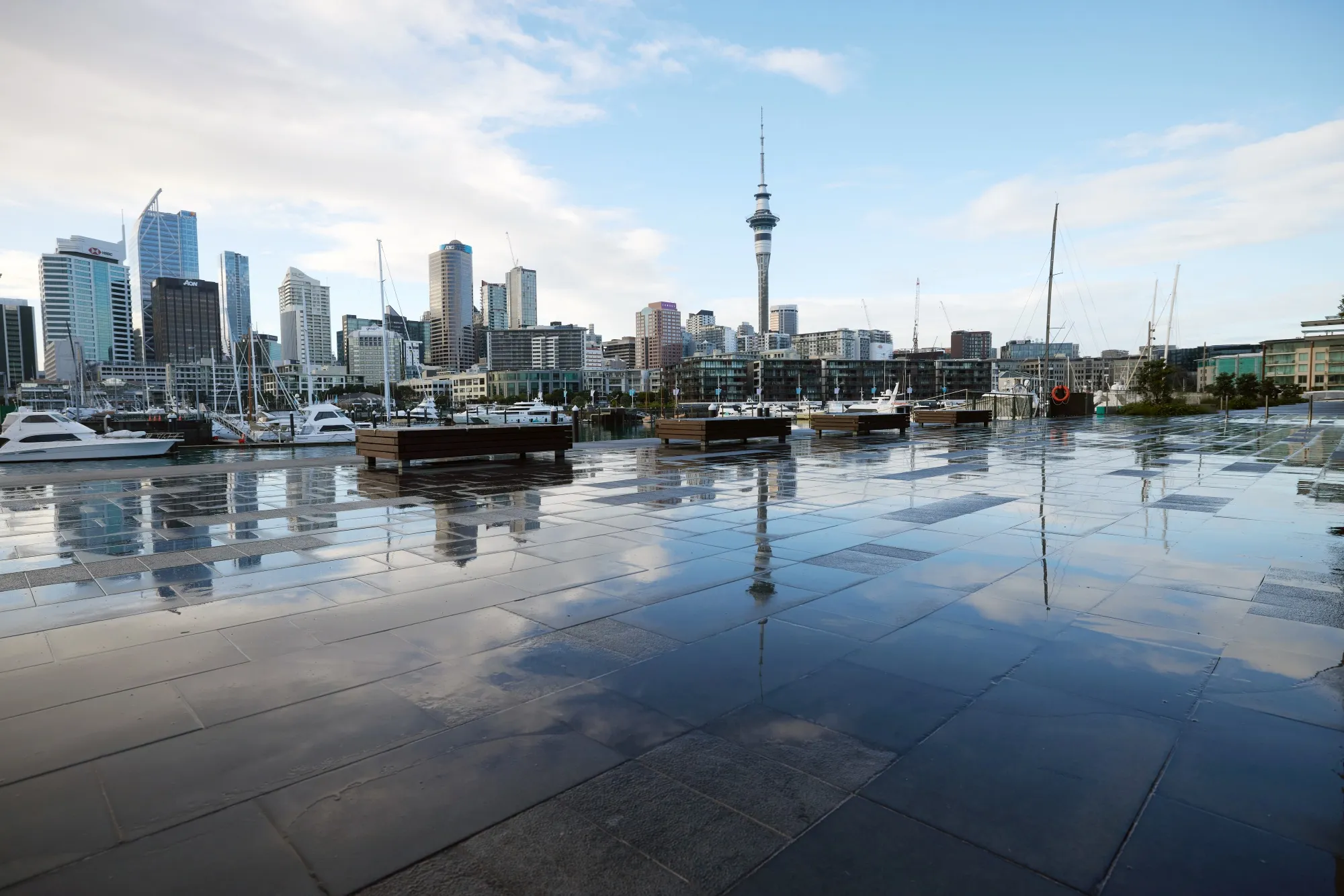 A deserted marina in Auckland on Aug. 18.