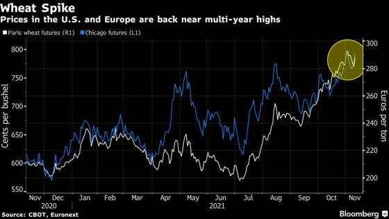 Wheat Jumps as Russian Export-Tax Talk Fuels Supply Worries