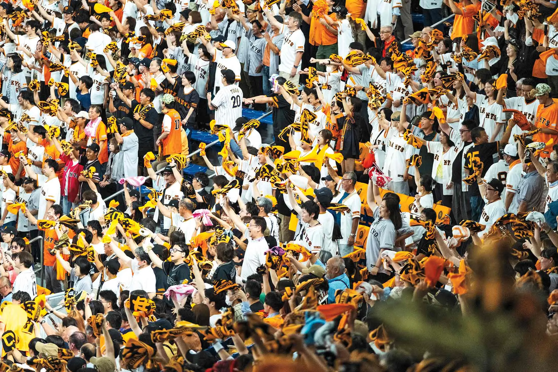 Yomiuri Giants fans root for the home team.