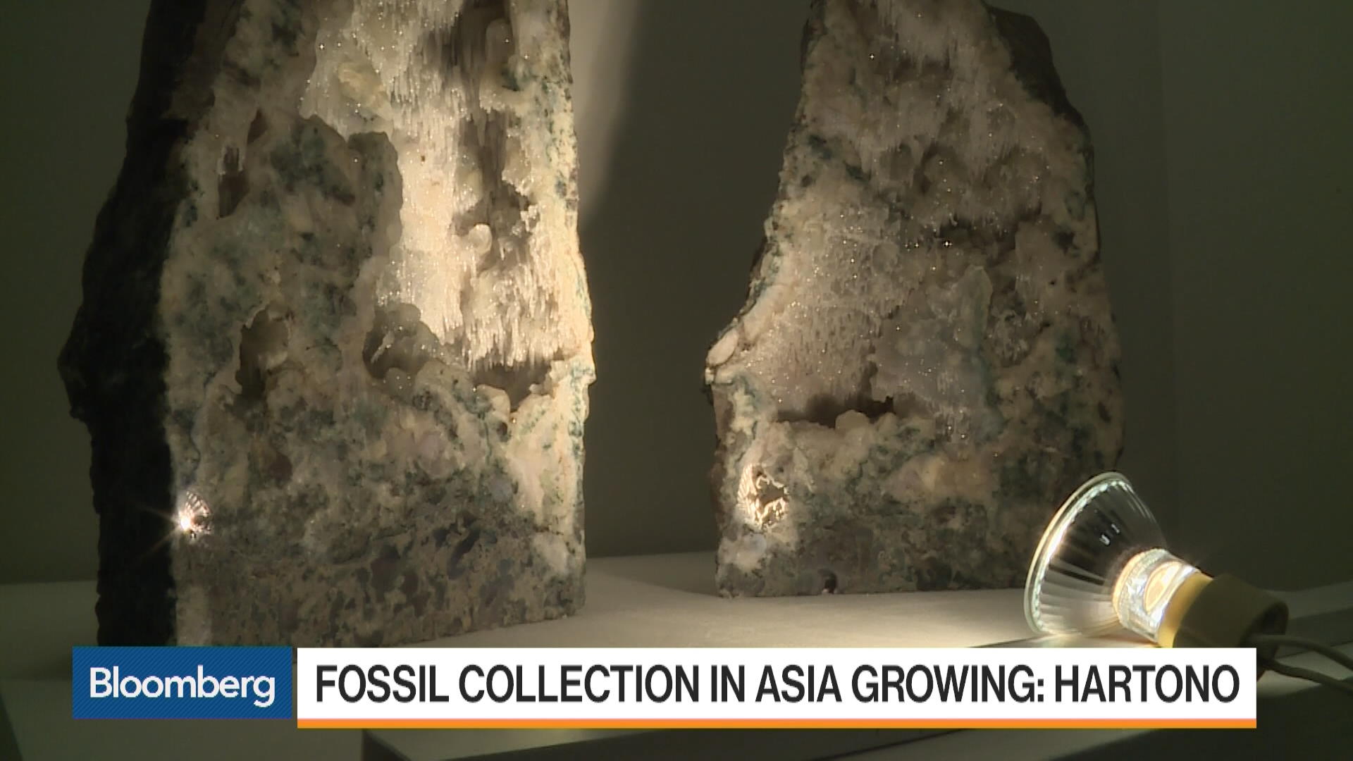 Watch Investing in Fossils Is It a Sound Move? Bloomberg