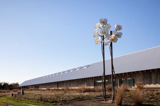 The Hamptons Are Becoming a Legitimate Art Destination