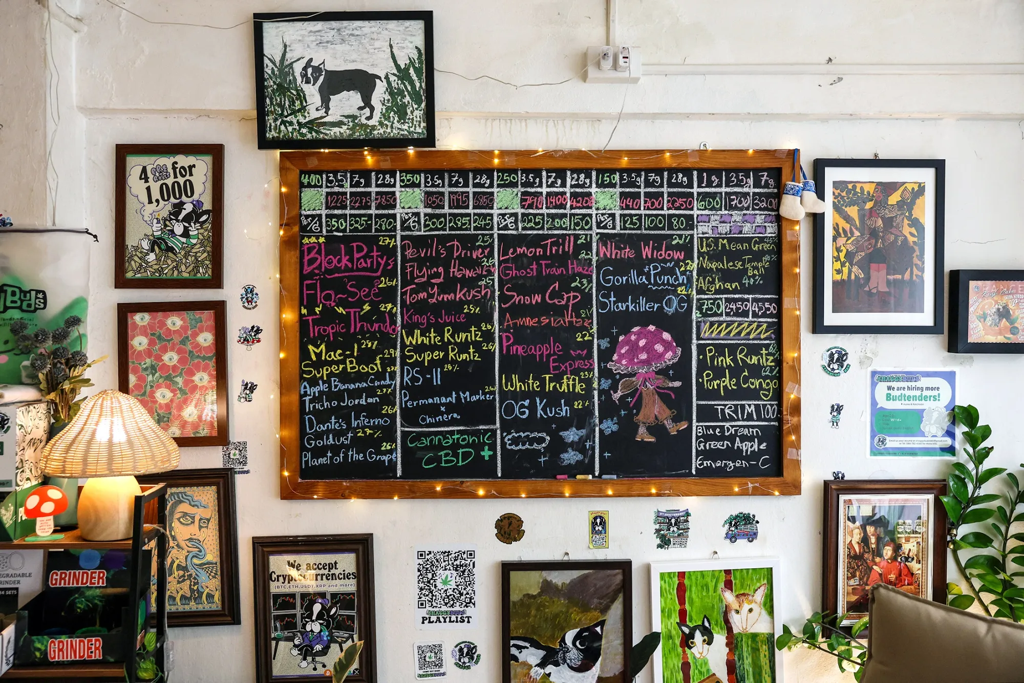 Thai Election: Thailand Grapples With Cannabis Law After Recreational Use  Boom - Bloomberg