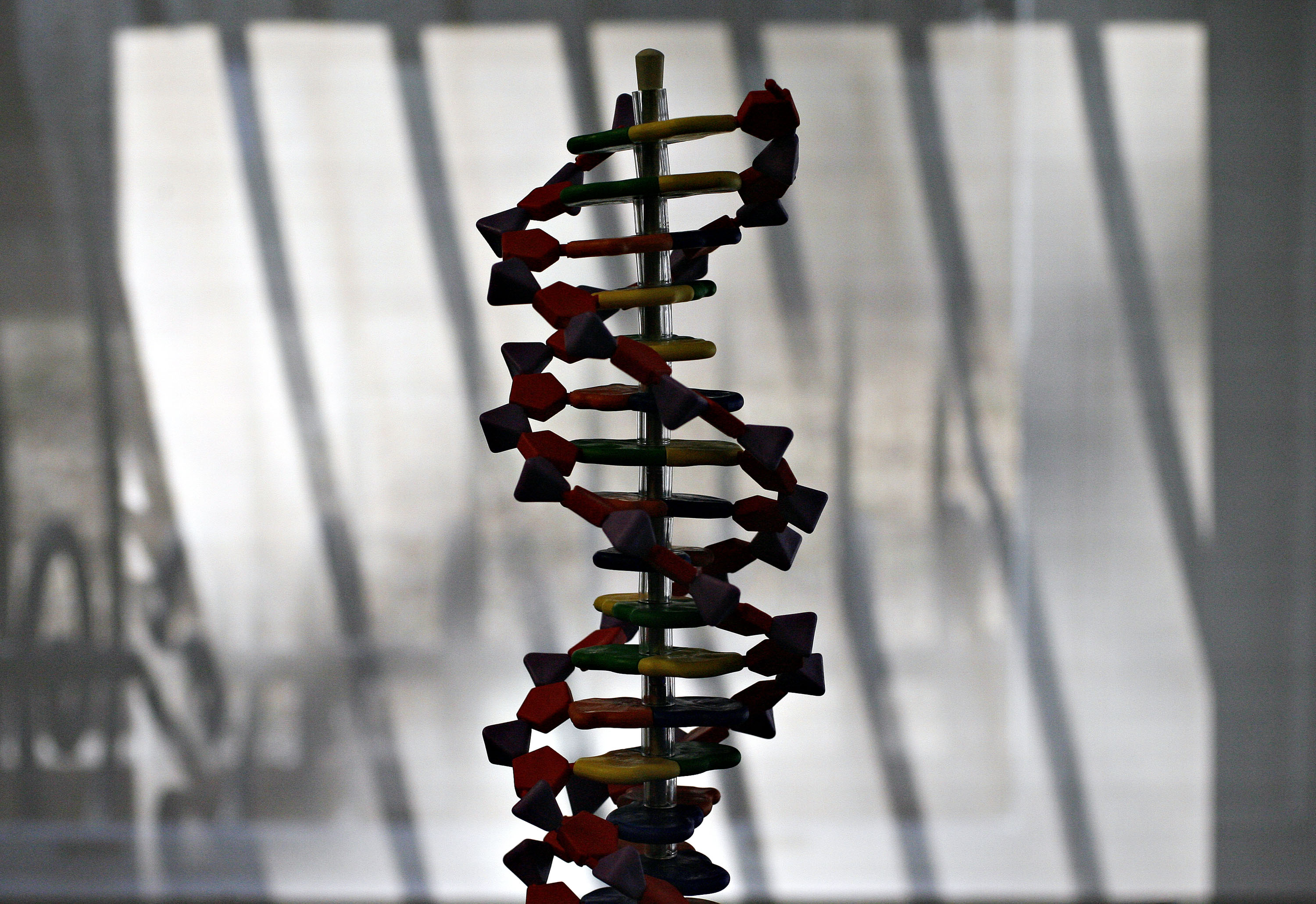 Love dna