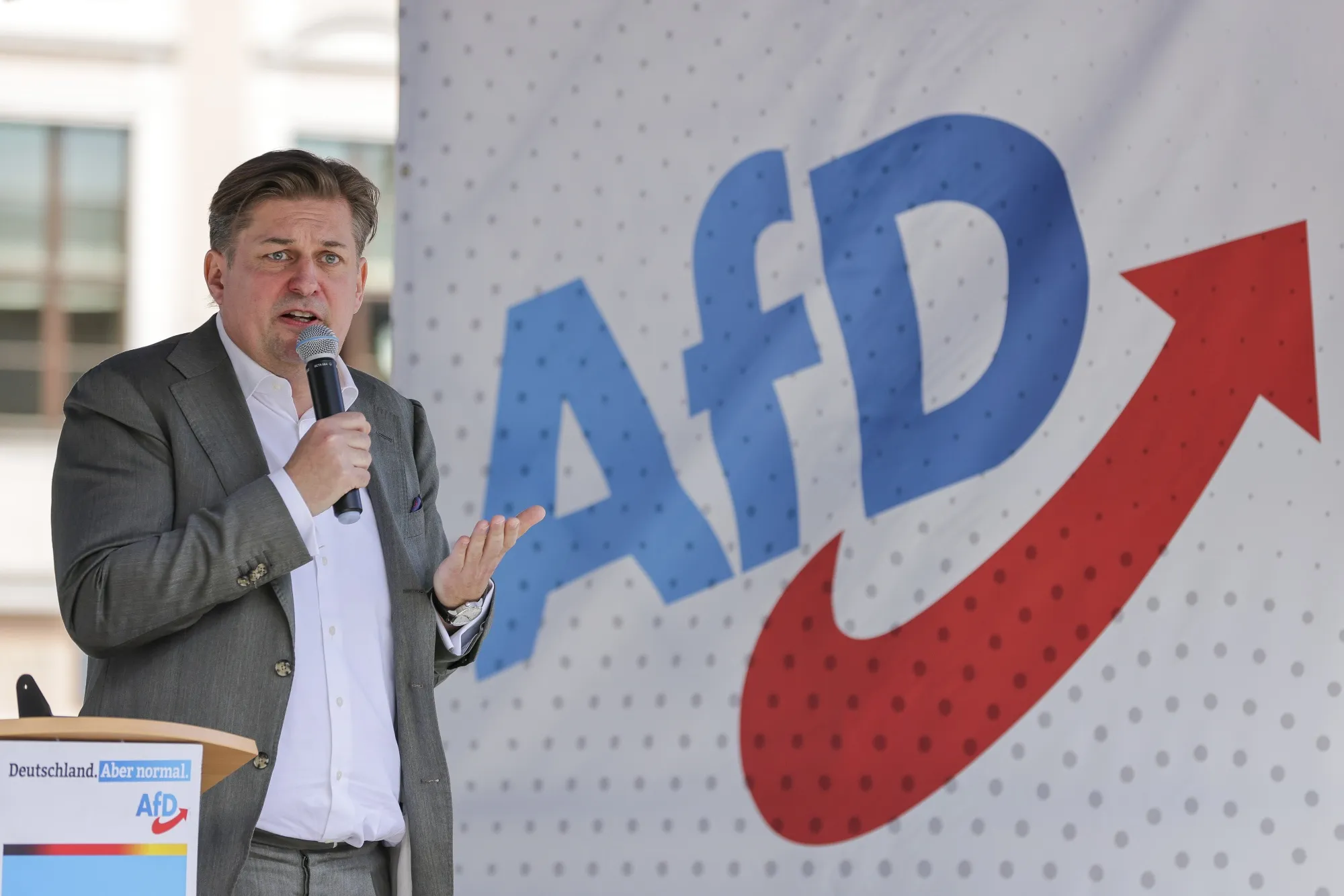 European Far-Right Group Moves to Expel Embattled German Party AfD -  Bloomberg