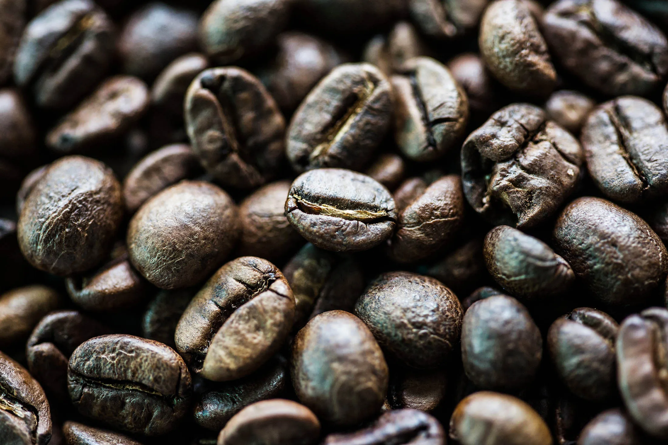Black Ivory Coffee beans are displayed on Nov. 26, 2016, in Ban Ta Klang, Thailand.
