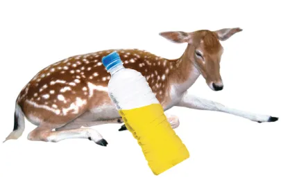 The Craziest Things Employees Tried to Expense Last Year