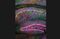 Brainbow