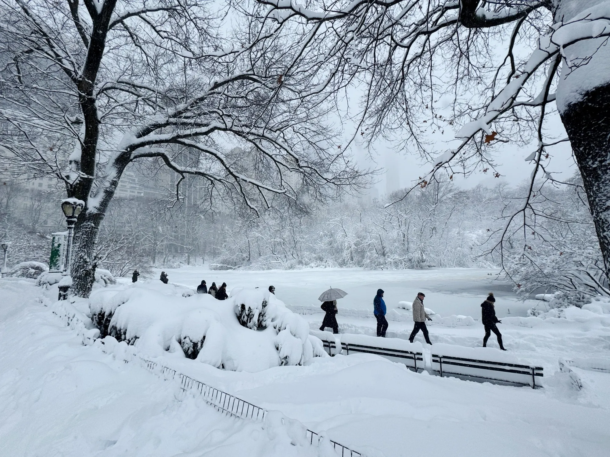 Pedestrians walk through snow in Central Park during a winter storm in New York on Feb. 23.