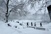 Massive Northeast Storm Knocks Out Power, Scrubs 10,000 Flights