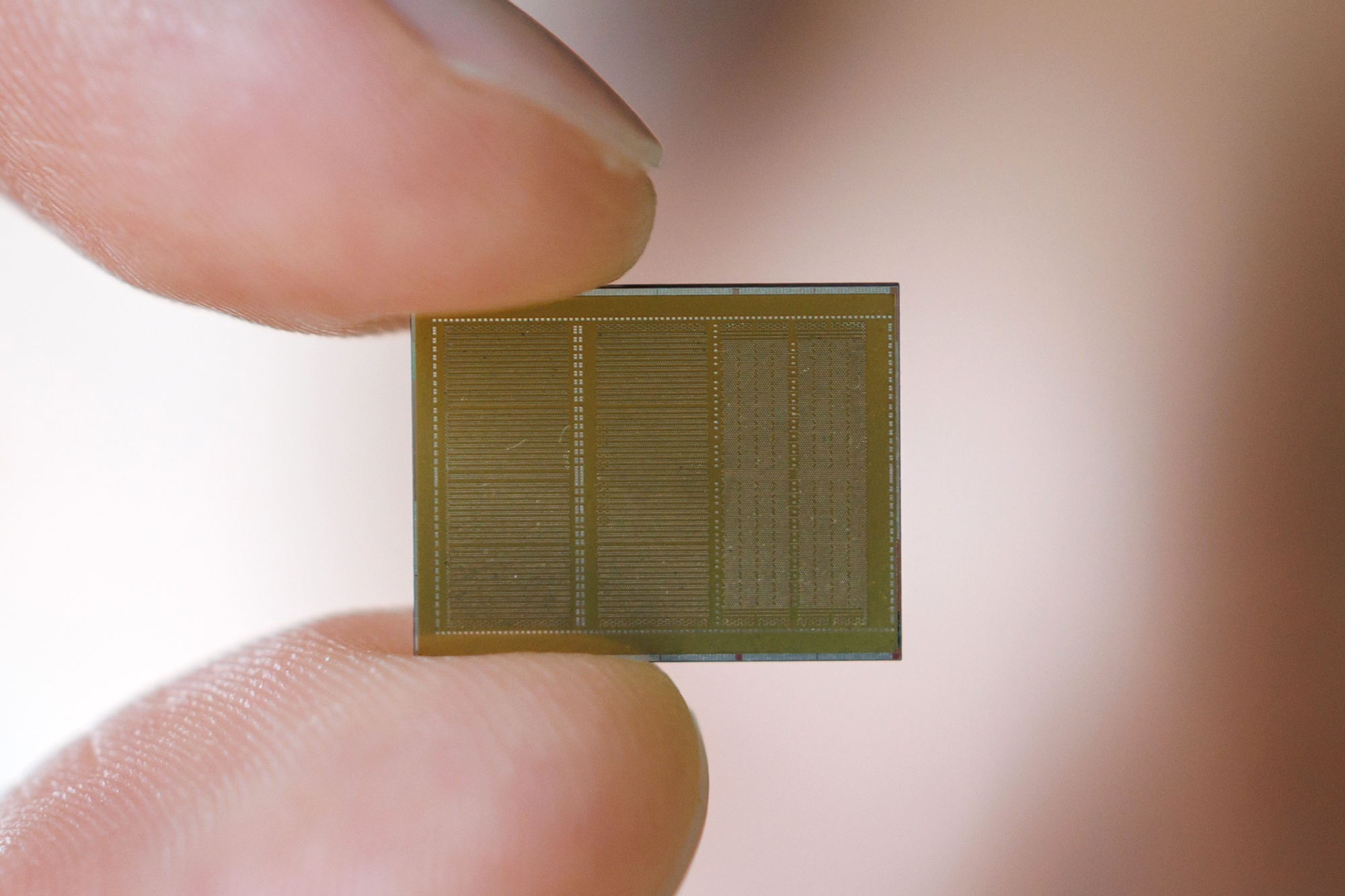 Image associated with story "Samsung, SK Hynix Answer AI Doubters With Big Numbers and Deals"