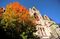 3. University of Pennsylvania