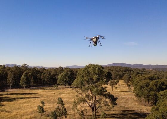 Sacca-Backed Startup Sees Drones Reseeding Fire-Ravaged Forests