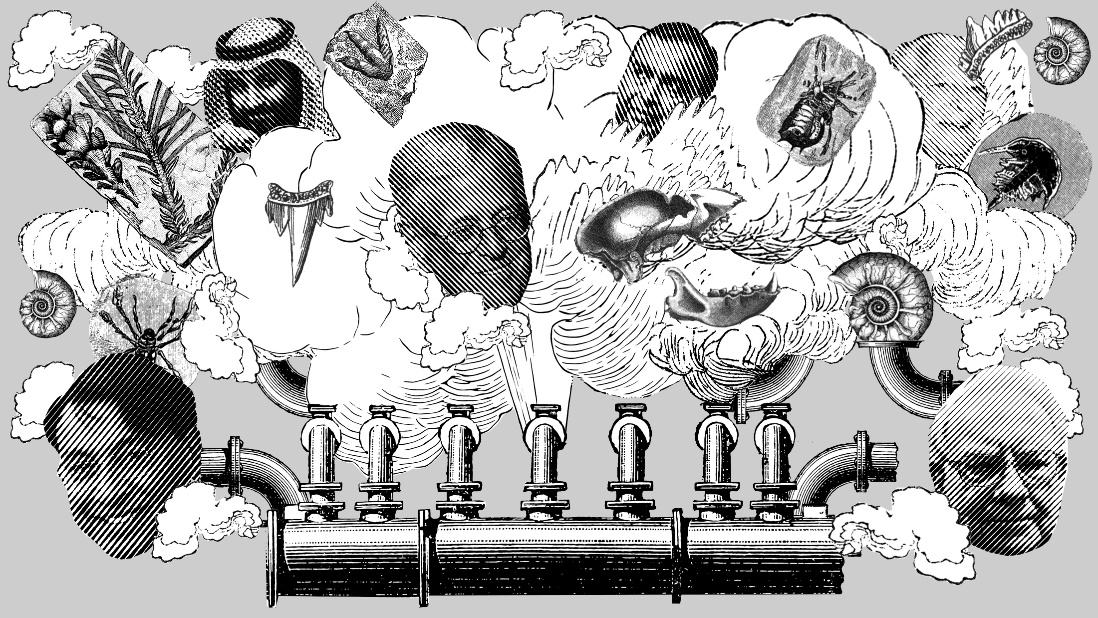 People & Planet - This morning we tried to DRAW fossil fuel finance....  Think you can do better? Comment with your attempts for a mystery prize 😎  | Facebook