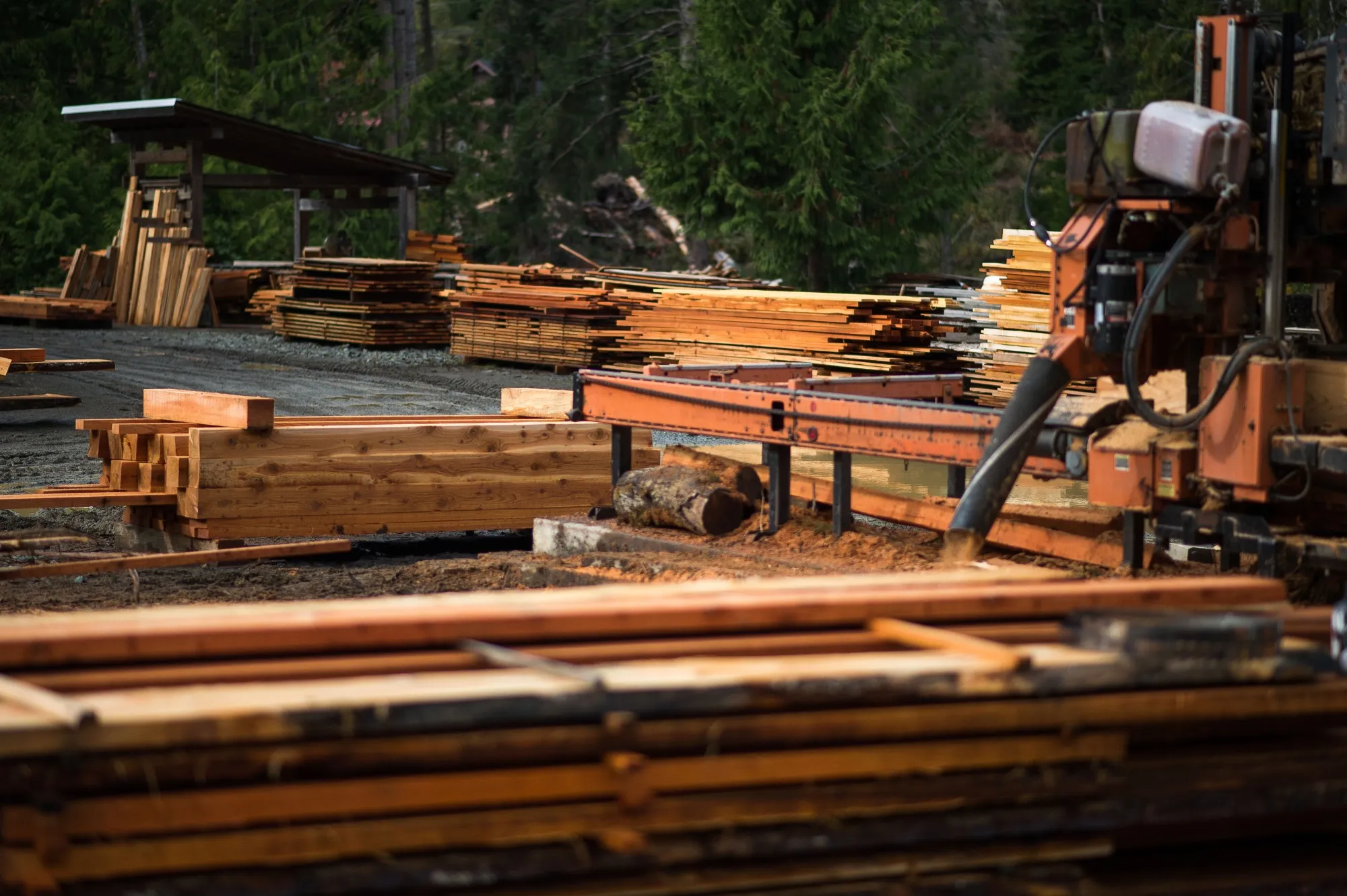 Expensive Lumber Is Back Boosted by Supply Cuts, Labor Shortages