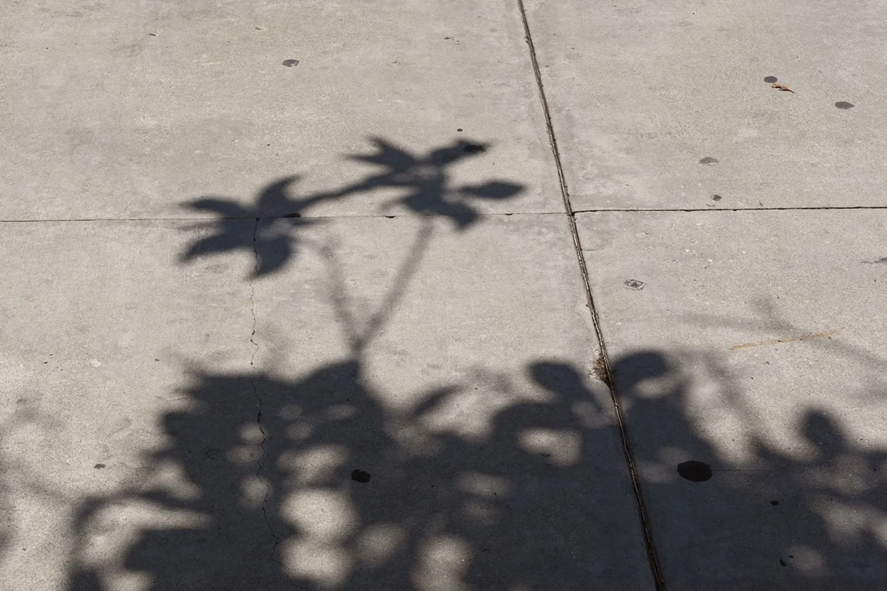 In her second book of photography, van Hoek finds texture and abstraction in downtown Los Angeles.