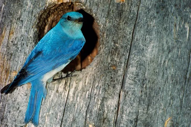 Twitter's Latest Reshuffle Doesn't Inspire Confidence