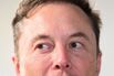How Elon Musk Spent Three Years Falling Down a Red-Pilled Rabbit Hole