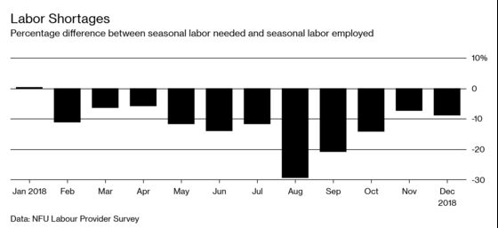 Brexit Worries Make Seasonal Hiring Harder for U.K. Farmers