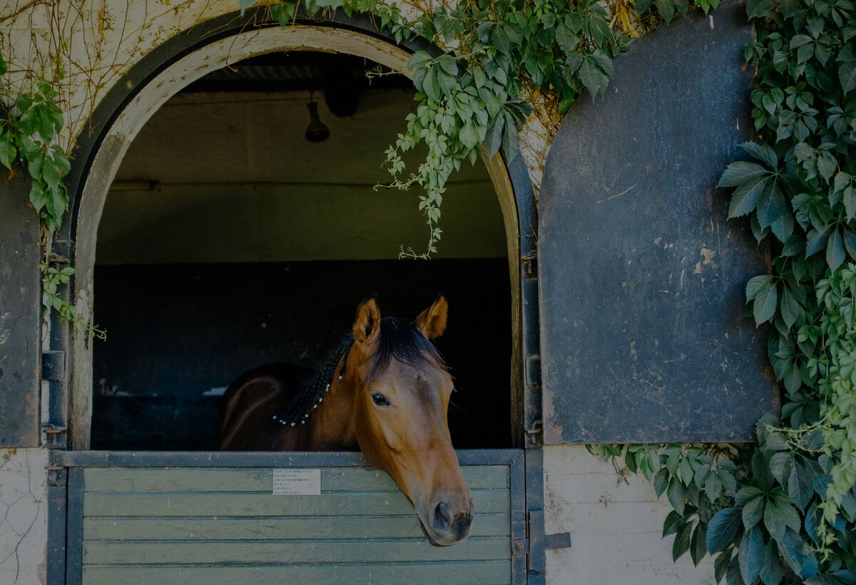 Inside Gary Player S South African Horse Ranch For Sale Photo