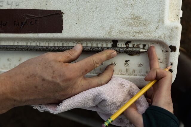 Jim McClelland and Liz Elstrom using a ruler measure the depth of soil at one of their sample sites.
