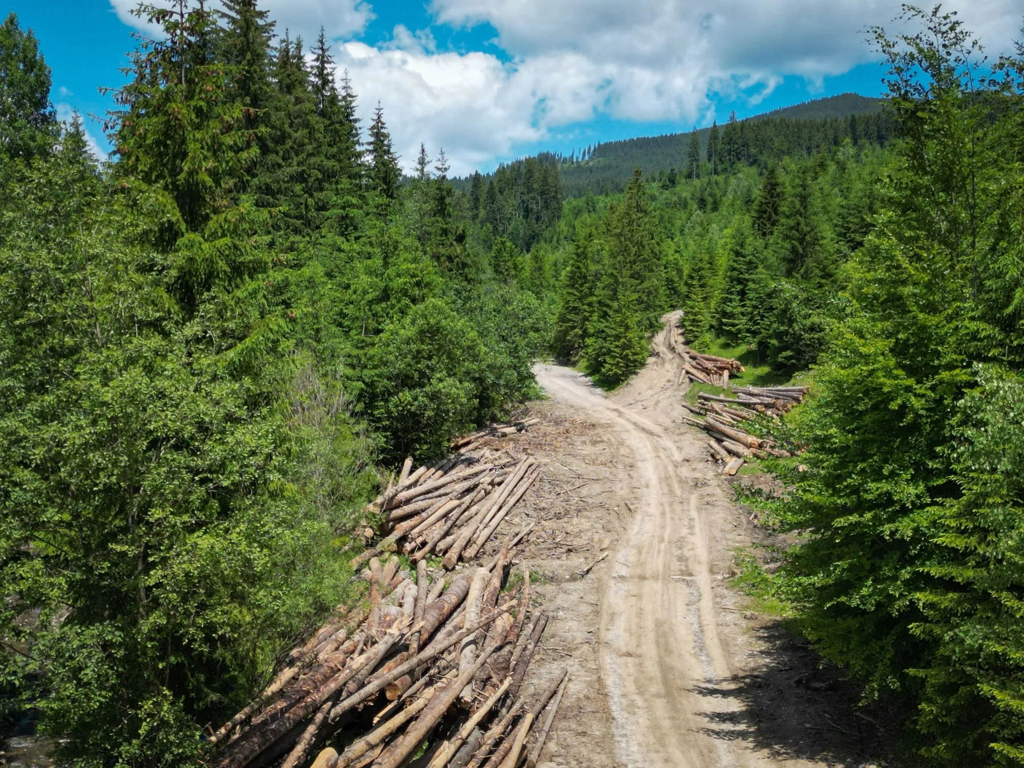 Logged wood on a road near the Ghimes-Faget village, Romania.