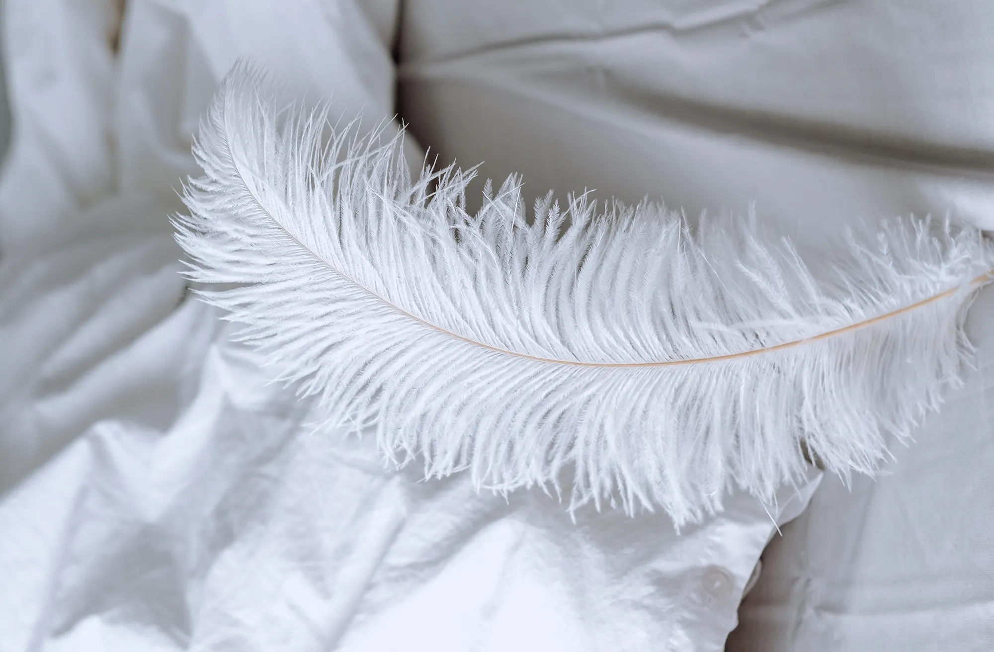 RF feather bed pillow soft