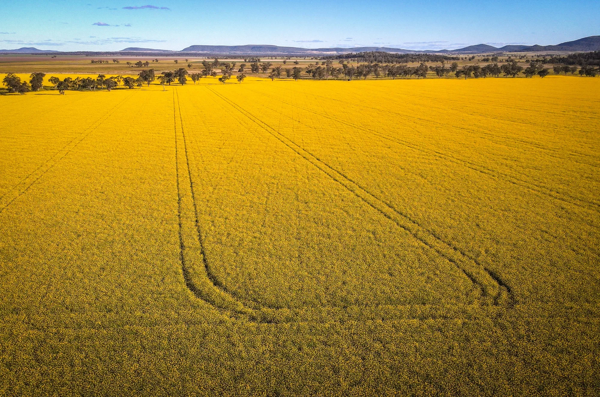 Astanor Ventures’&nbsp;new fund will be used to invest in startups working on the food system as well as water and biodiversity, including those working on comprehensive solutions across the sectors.&nbsp;