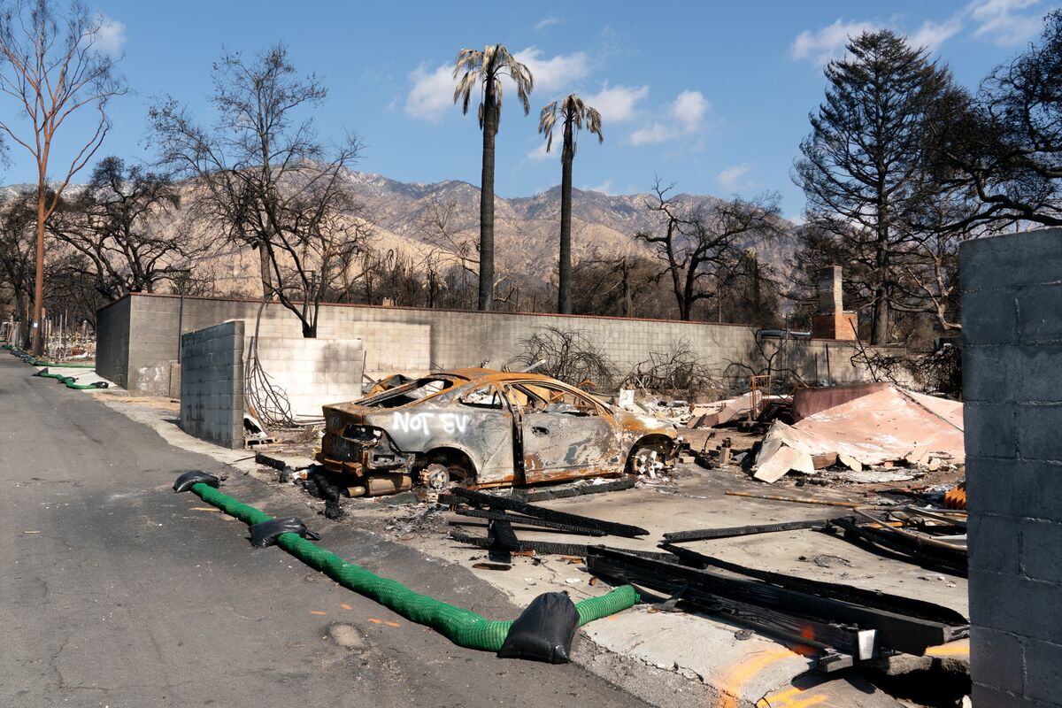 bloomberg.com - Lydia Beyoud - Prediction Market Bets on Wildfires Draw Scrutiny From Senators
