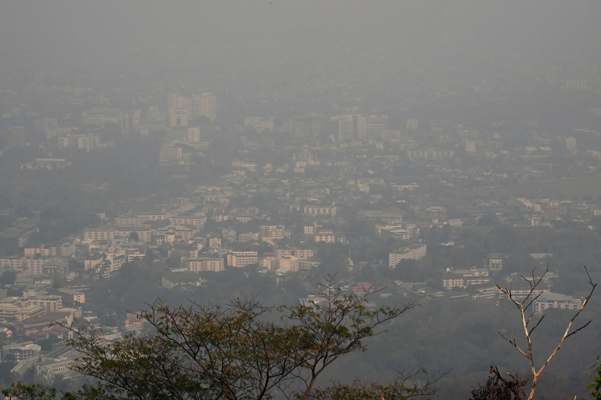 Thailand Mulls Ban on Corn Imports From Neighbors to Tackle Smog